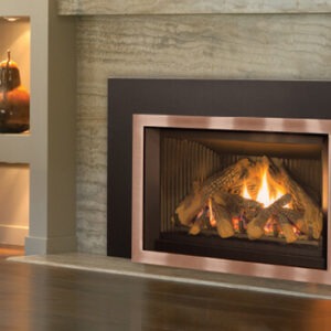 Enviro E30 Gas Insert