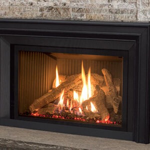 Enviro EX32 Gas Insert