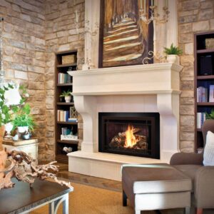 photo of Mendota Hearth Classic FullView Fireplace
