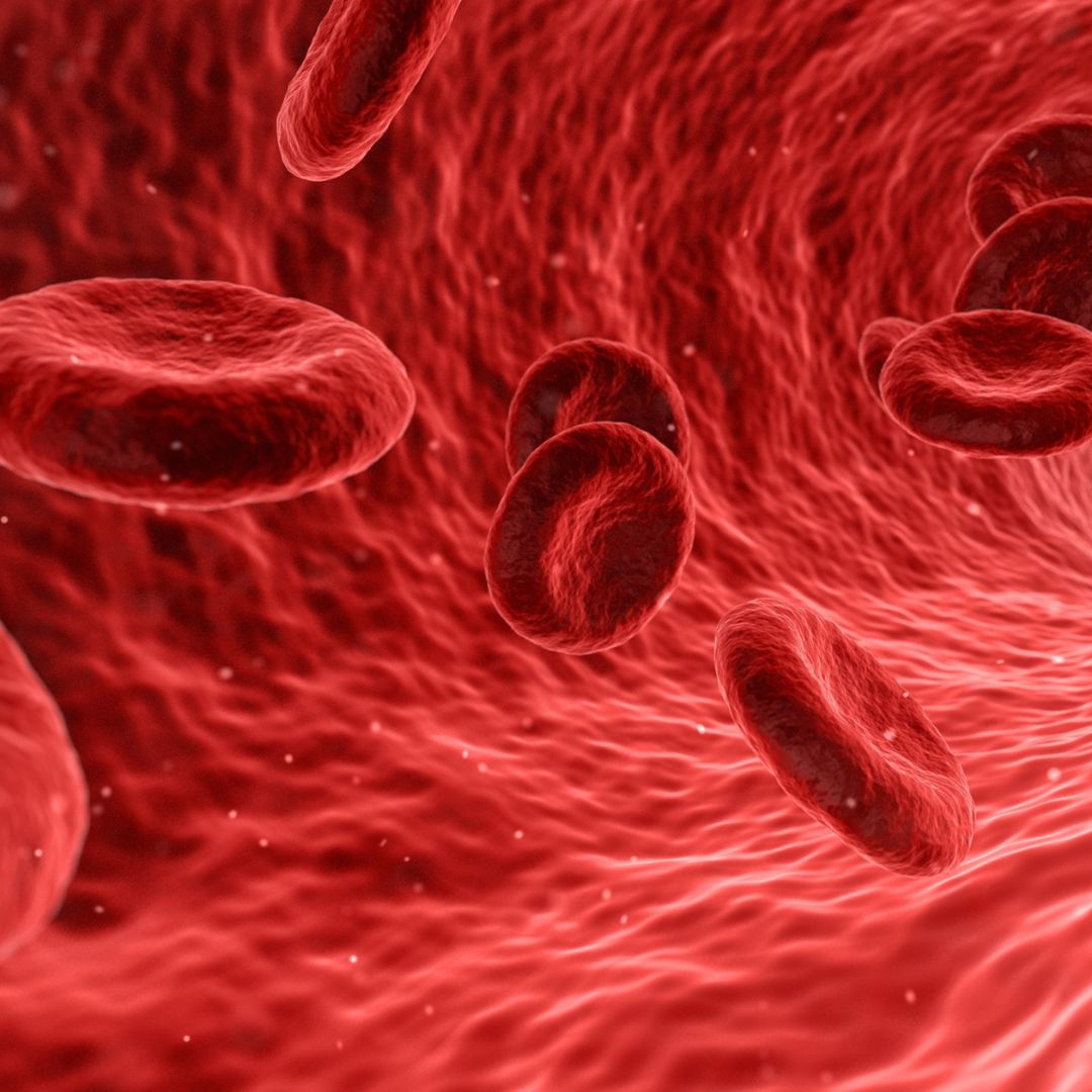 Red blood cells