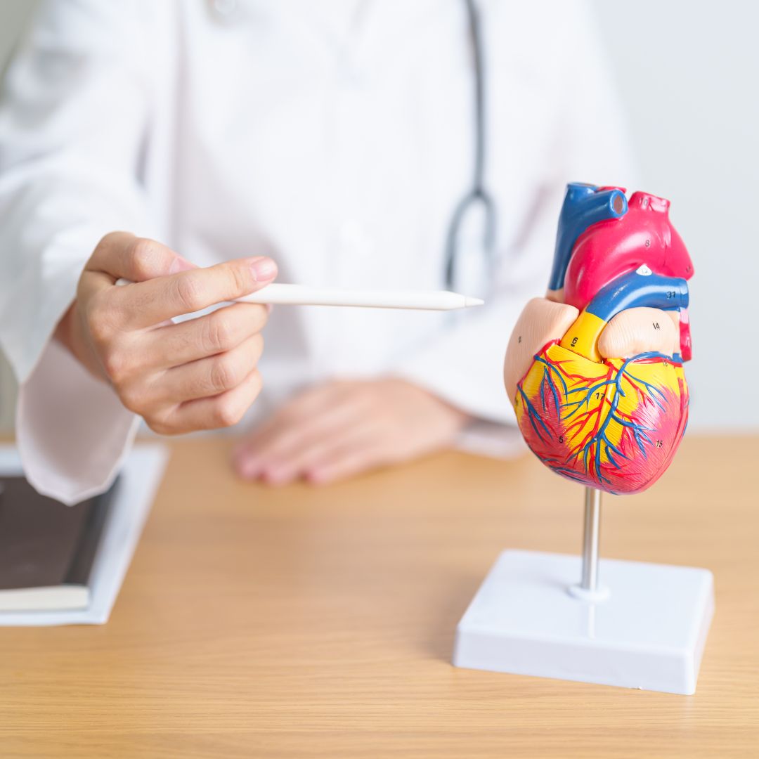 A doctor pointing to a heart figure