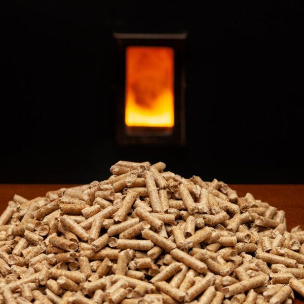 pellets in front of fireplace