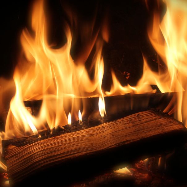 Wood burning fireplace