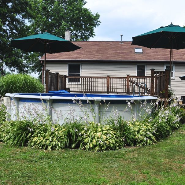 Flowering shrubs surrounding a pool