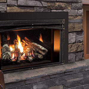 Enviro E33 Gas Insert