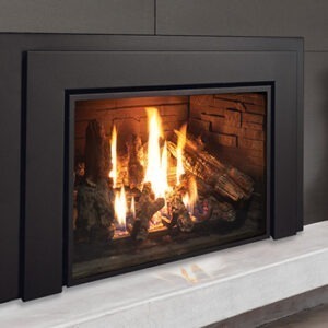 Enviro E44 Gas Insert