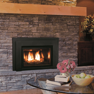 Enviro E20 Gas Fireplace Insert