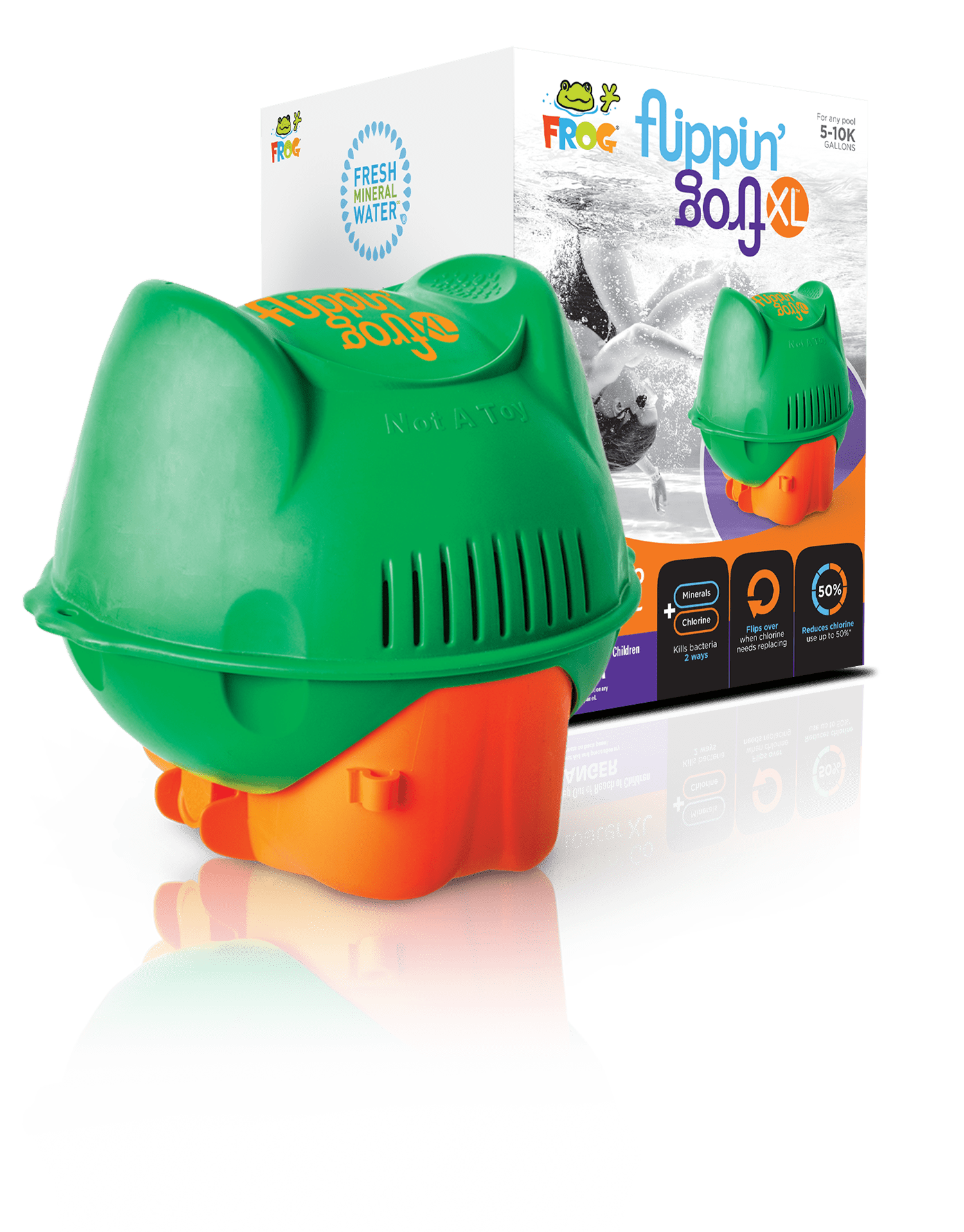 The Flippin’ FROG Pool Sanitizing System - Image 5