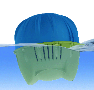 The Flippin’ FROG Pool Sanitizing System - Image 2