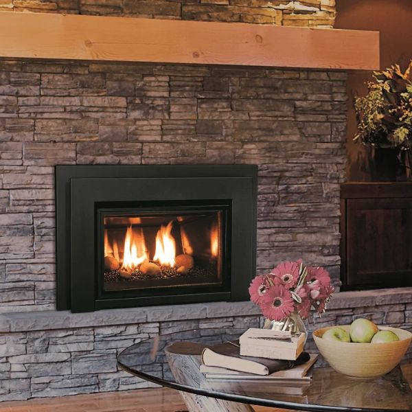 gas fireplace insert